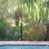 Three Willows - View across the pool and garden